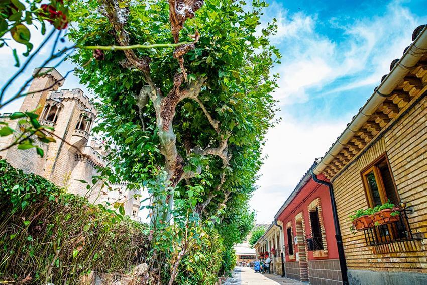 Апартаменты La Casa De La Abuela Олите Экстерьер фото